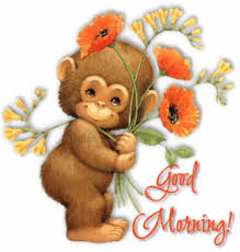 Good Morning Pictures Monkey God Bless You Blessed Good Morning Picture