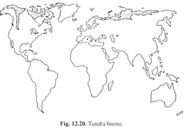 8 Major Biomes Of The World Ecology