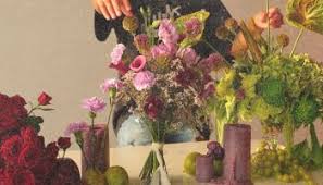 Image result for tbn:ANd9GcSHbzXs1kessAqDv7vBRCjqGb5EOeKOyWWMr8QKkcYGZeP2G5KpJA