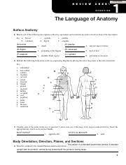 Tags biology, anatomy, anatomical terms of location, body cavity, ventral body cavity, human body cavities. Su Bio1012 W1 A2 Ex1 Delgadillo Junita 1 Print Form R E V I E W S H E E T Exercise The Language Of Anatomy Surface Anatomy 1 Match Each Of The Course Hero