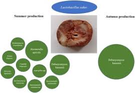 Sausage, peppers and onions sheet pan. Portuguese Cacholeira Blood Sausage A First Taste Of Its Microbiota And Volatile Organic Compounds Sciencedirect