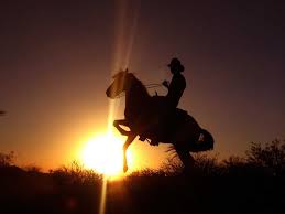 Maybe you would like to learn more about one of these? Country Life Silhouette Shefalitayal