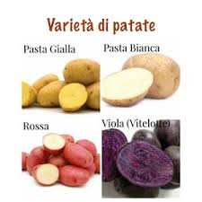 Fate intiepidire il gateau di patate per una decina di minuti prima di servirlo. Varieta Di Patate Sapore Di Sapere