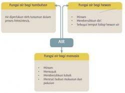 Memelihara kehidupan di bumi serta segala ekosistem yang ada di dalamnya. Kunci Jawaban Tema 8 Kelas 5 Halaman 8 9 10 11 12 13 Proses Penguapan Pengendapan Dan Pengembunan Halaman All Tribunnewsmaker Com