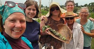 Our Munch and Learn community explored cultivated garden plants and others  who chose to make a home in the garden to discover allies for what is  impacting our physical and emotional well-being.