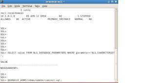 Database Character Conversion With Oracle Cscan Utility | Smart Way Of  Technology