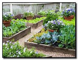 Keep Your Plants Happy With The Following Advice Special Garden Design Vegetable Garden Design Home Vegetable Garden Backyard Vegetable Gardens