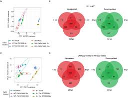 Linker histone H1 regulates defense priming and immunity in plants