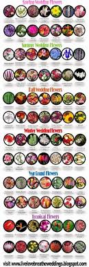 Due to south africa's size (nearly two times as big as france), it's important to determine which towns, cities and locations you'd most like to see before making the. 220 Flower Chart Ideas Flower Chart Flower Arrangements Wedding Flowers