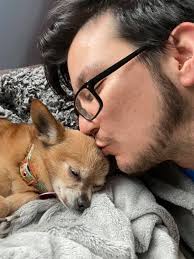 Dogs unamused by snort-fighting