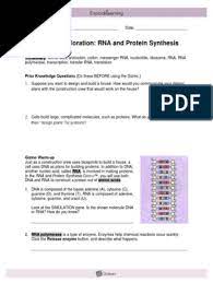 Dna, rna answer the speed 1748 kb/schapter 12 section 3 rna and protein synthesis answer key american pageant 12th edition chapter questions diagnostic test. Gizmos Rna Protein Synthesis Lab Rna Translation Biology