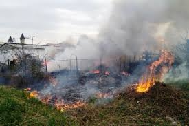 Andrei miklosi a pus eticheta lanăsal pe un portofoliu de sucuri, uleiuri, siropuri pe bază de cătină şi a ajuns la afaceri de 180.000 de lei: Multiple Incendii In JudeÈ›ul IaÈ™i Pompierii Au Intervenit In Mai Multe LocalitÄƒÈ›i Impact