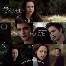 Shareig Twilight Love Bites Twilight Saga Twilight Saga Books Twilight Book