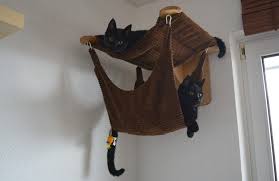 Diy Katzenkletterwand Aus Ikea Regalen Katzen Kletterwand Katzen Wand Katzen Hangematte