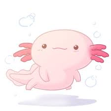 See more ideas about axolotl, drawings, cute drawings. Kawaii Cute Cartoon Axolotl Cute Axolotl Drawing Novocom Top