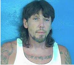 Meth trafficking suspect allegedly found with 6 ounces, gun, $8,700