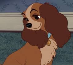Lady | Disney Wiki | Fandom