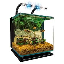 Set up a fish tank with important accessories like a water filter and plants. Best Fish Tanks In 2020 Seaclear Marineland Fluval And More