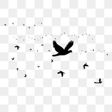 Fresh Black Bird Decorative Element Flying Bird Animal Little Bird Png Transparent Clipart Image And Psd File For Free Download Flying Bird Silhouette Birds Flying Black Bird