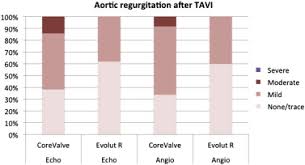 transcatheter aortic valve implantation with the new