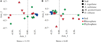 The body of a cactus actually swells in times of moisture so that. Frontiers Functional Signatures Of The Epiphytic Prokaryotic Microbiome Of Agaves And Cacti Microbiology
