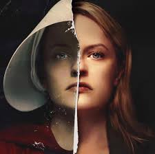 Sharky 🦈 est bien arrivé sur son île 🏝️ d'origine!! Il vous souhaite de  très belles vacances à tous 🪸 et vous rappelle que l'AQUARIUM D'AMNEVILLE  est ouvert tous les jours (même