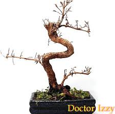 Maybe you would like to learn more about one of these? Jenis Cantuman Di Bonsai