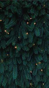 More images for iphone backgrounds christmas » Best Christmas Tree Iphone Hd Wallpapers Ilikewallpaper