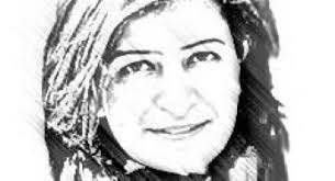 You searched for amp