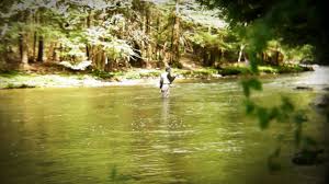 Fly Fishing Laurel Hill Creek Youtube