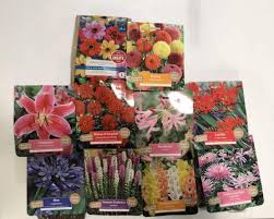 When to plant summer bulbs as mentioned earlier, unless you live where the ground doesn't freeze, you have to replant tender perennial summer bulbs every spring. Taylors Summer Flowering Bulbs 10 Packs