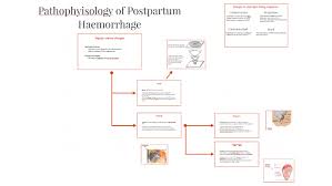 pathophysiology of postpartum haemorrhage by paul mcdowell