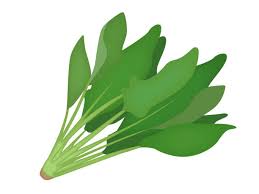 ほうれん草 イラスト素材 Istock
