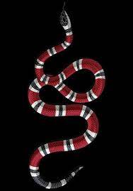 Best Tattoo Snake Gucci Ideas Gucci Wallpaper Iphone Apple Watch Custom Faces Snake Wallpaper
