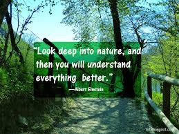 Earth day quotes on humans. Native Earth Day Quotes Quotesgram