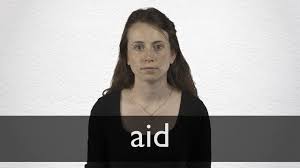 Its authorized share capital is rs. Aid Definition And Meaning Collins English Dictionary