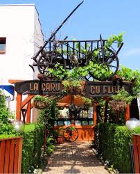 Comanda mancare de la restaurant caru cu flori. Sport Shop Caru Cu Flori