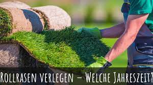 Fertigrasen kann, außer bei frost, ganzjährig verlegt werden. Wann Rollrasen Verlegen Welche Jahreszeit Ist Am Besten