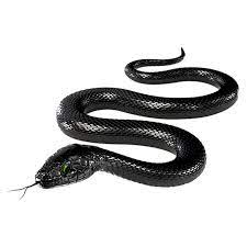 Black Mamba Png Image With Transparent Background Stock Images Free Black Mamba Png Images