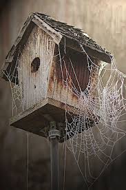 Home Is Where She Makes It Toile D Araignee Paysage Hiver Noel Araignee