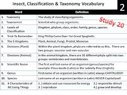 Flow Chart Of Classification Of Plants Whittakers Five