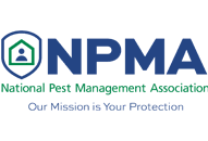 The landlord or the tenant? In Wall Pest Control Services Pestshield Pest Control Services