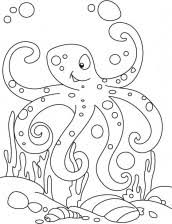 Desenho De Polvo Para Colorir E Pintar