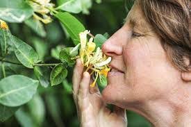 Rena Blake's Instagram, Twitter & Facebook