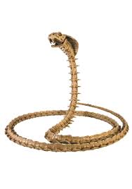 Сильвестр сталлоне, бриджит нильсен, рени сантони и др. The Skeleton Cobra