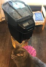 Compact Automatic Pet Feeder