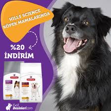 Her Yavru Kopegin Gelisimi Icin Ozel Gereksinimleri Vardir Tum Hills Science Plan Yavru Kopek Mamalari Yavru Kopeklerin Ozellikle Ba Science Yavru Kopek Kopek
