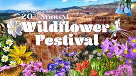 CB: Wildflower Festival