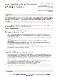 new home sales consultant resume