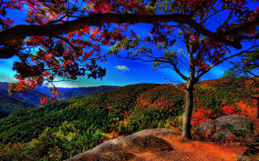 Best Scenery Wallpapers Hd Group 69 Learn how to draw nature pictures pictures using these outlines or print just for coloring.